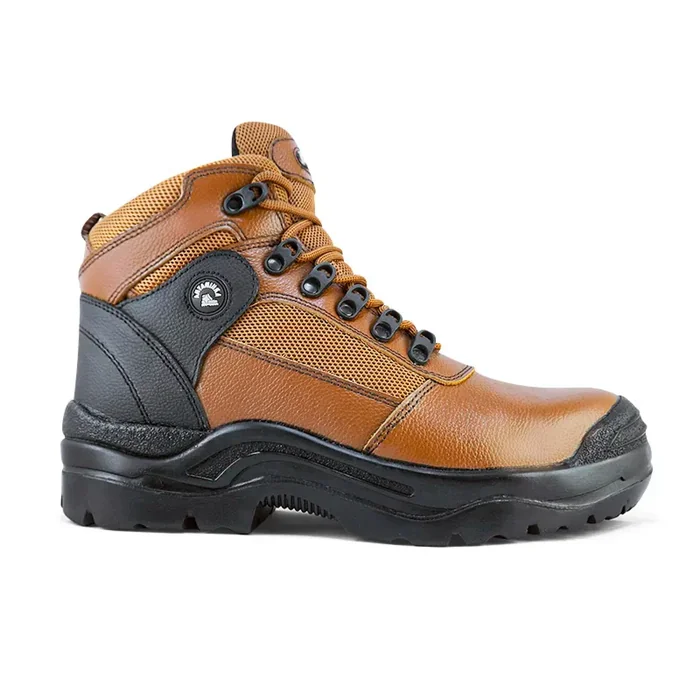 Zapato dieléctrico